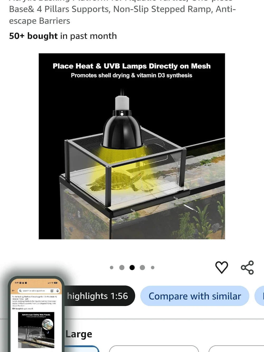 Clear Acrylic Turtle Basking Platform with Ramp - Transparent